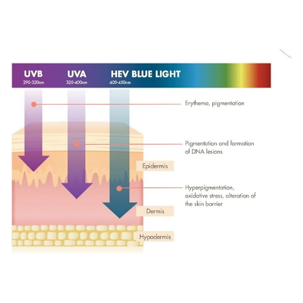 Avene Fragrance Free SPF 50+ Sunscreen Cream For Dry & Sensitive Skin 50ml