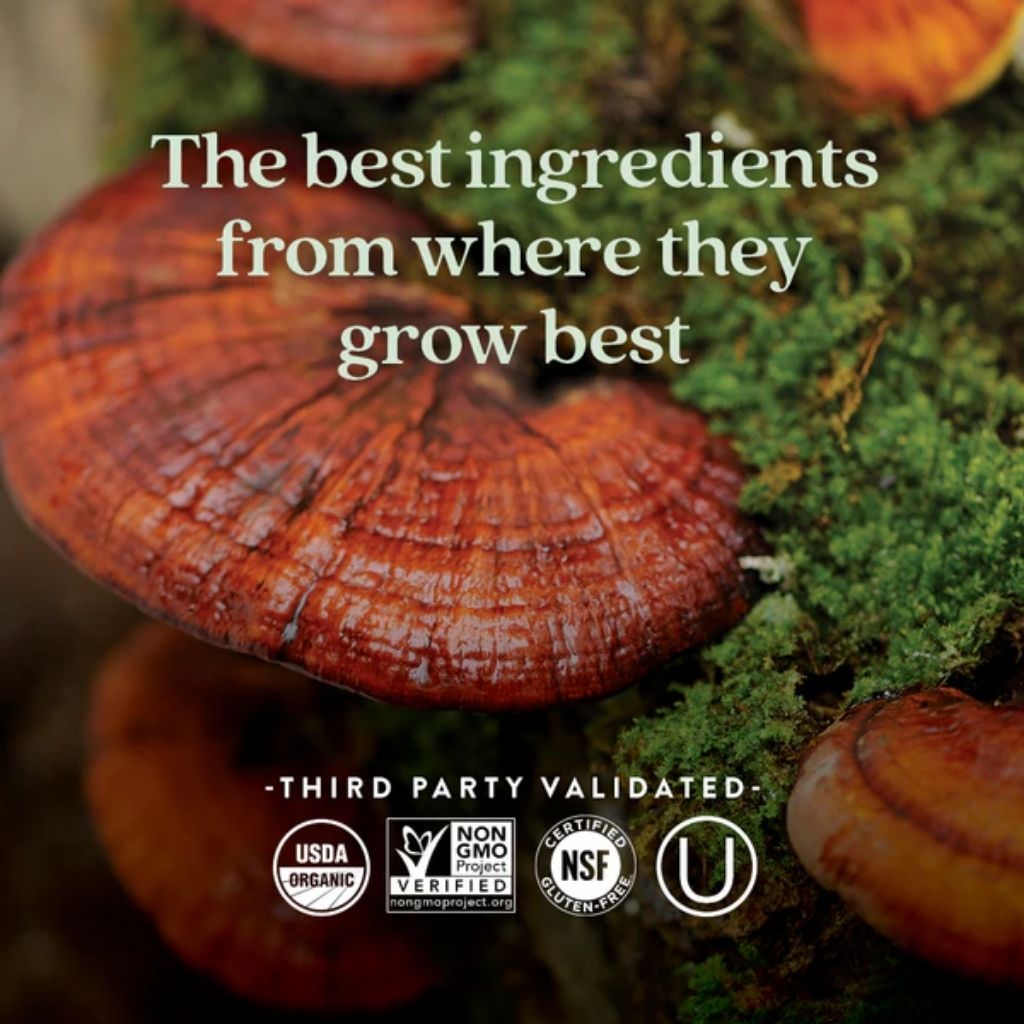 New Chapter Fermented Vitamin D3 2000IU Capsules, Pack of 30's