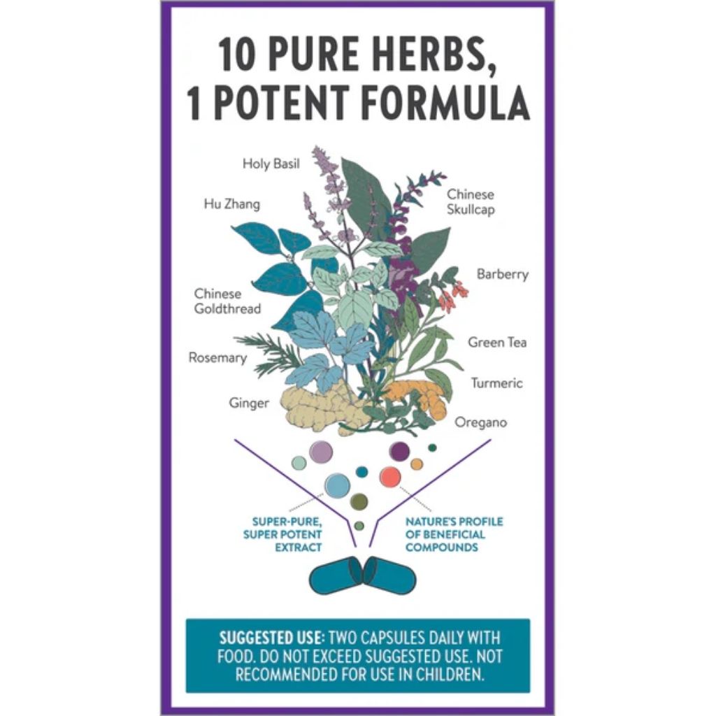 New Chapter Zyflamend Herbal Pain Relief Supplement Capsules, Pack of 120's