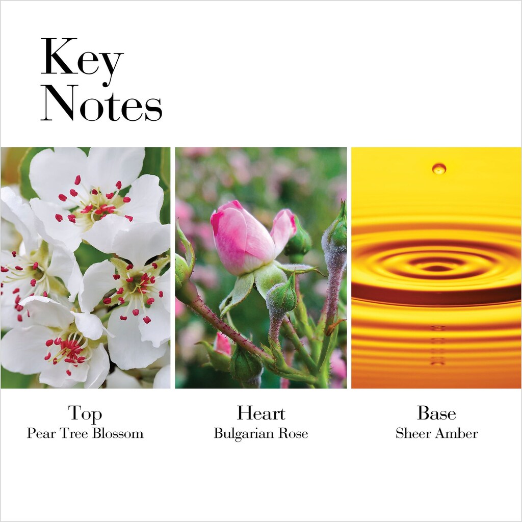 Elizabeth Arden White Tea Wild Rose Eau De Toilette For Women - Floral Luxury Fragrance 100ml