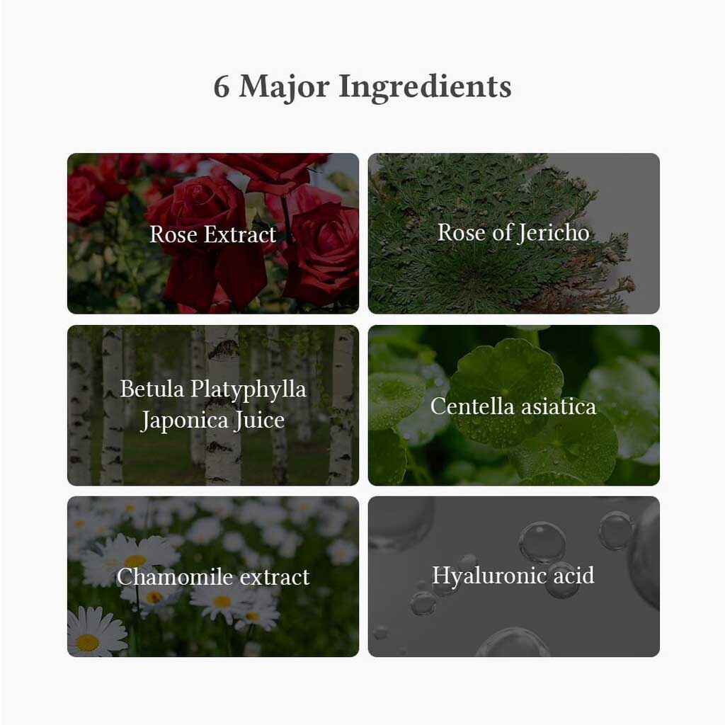 Dr. Althea Oasis Soothing Facial Sheet Mask, Pack of 5’s 