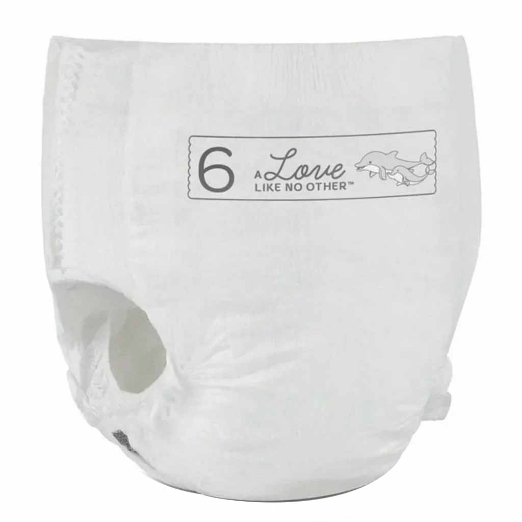 Bambo Nature Dream Size 6, 15+kg Eco-Friendly Training Pants, Pack of 19's