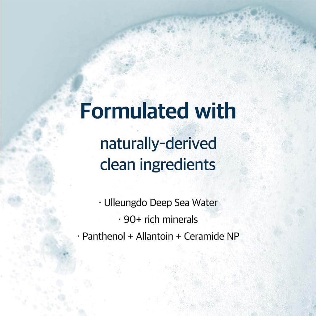 Round Lab 1025 Dokdo Creamy Facial Cleansing Foam 150ml 