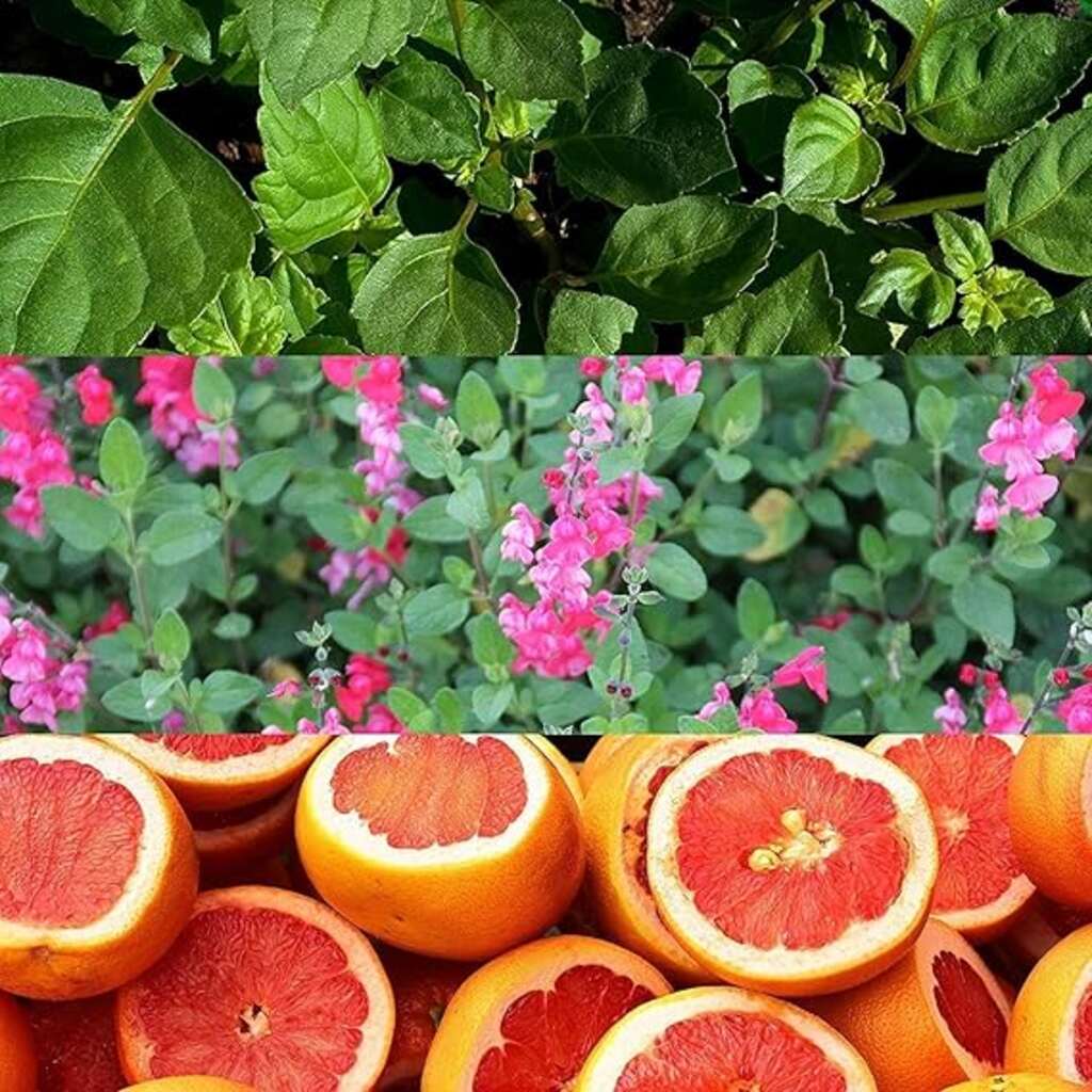 Calvin Klein Escape Eau De Toilette For Men 100ml