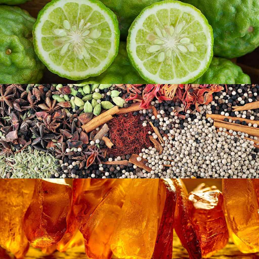 Calvin Klein Obsession Eau De Parfum For Women 100ml