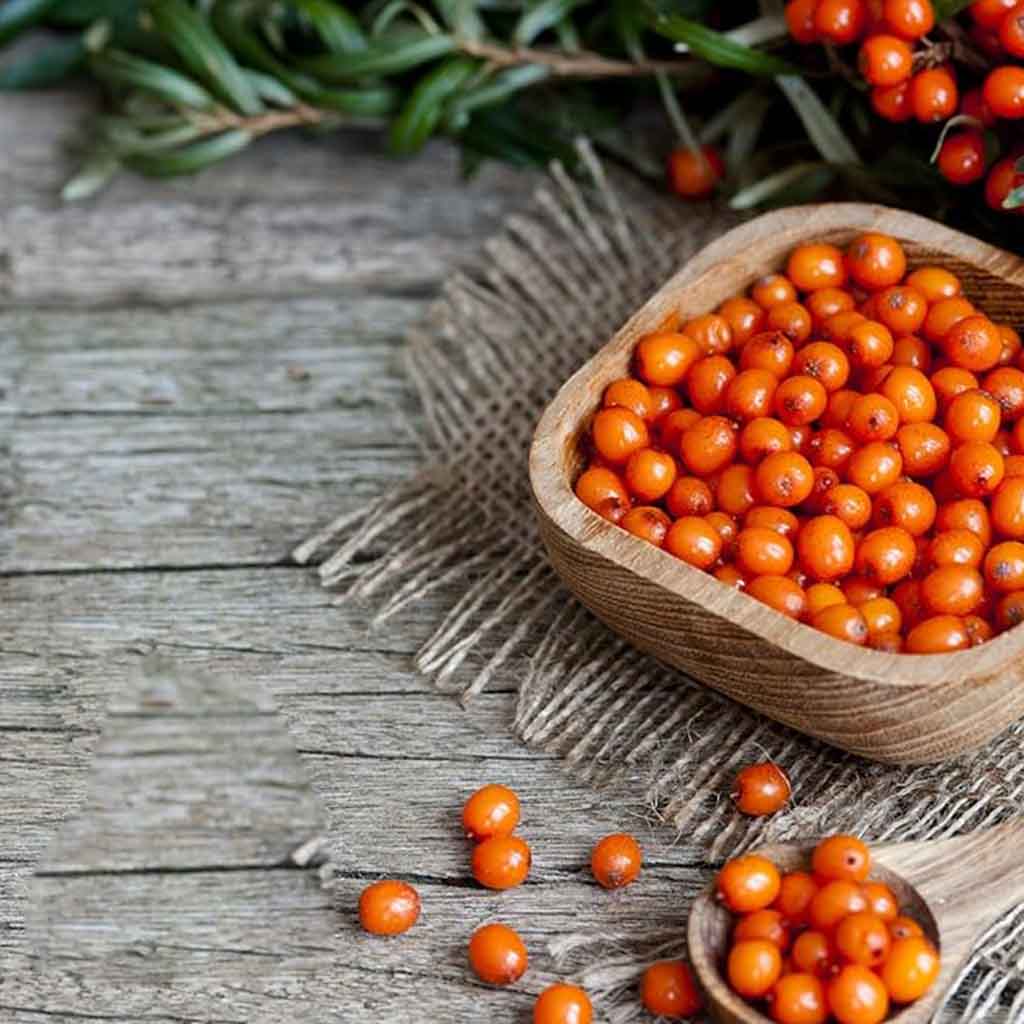 Natura Siberica Oblepikha Professional Hair Conditioning Leave-in Spray 125ml