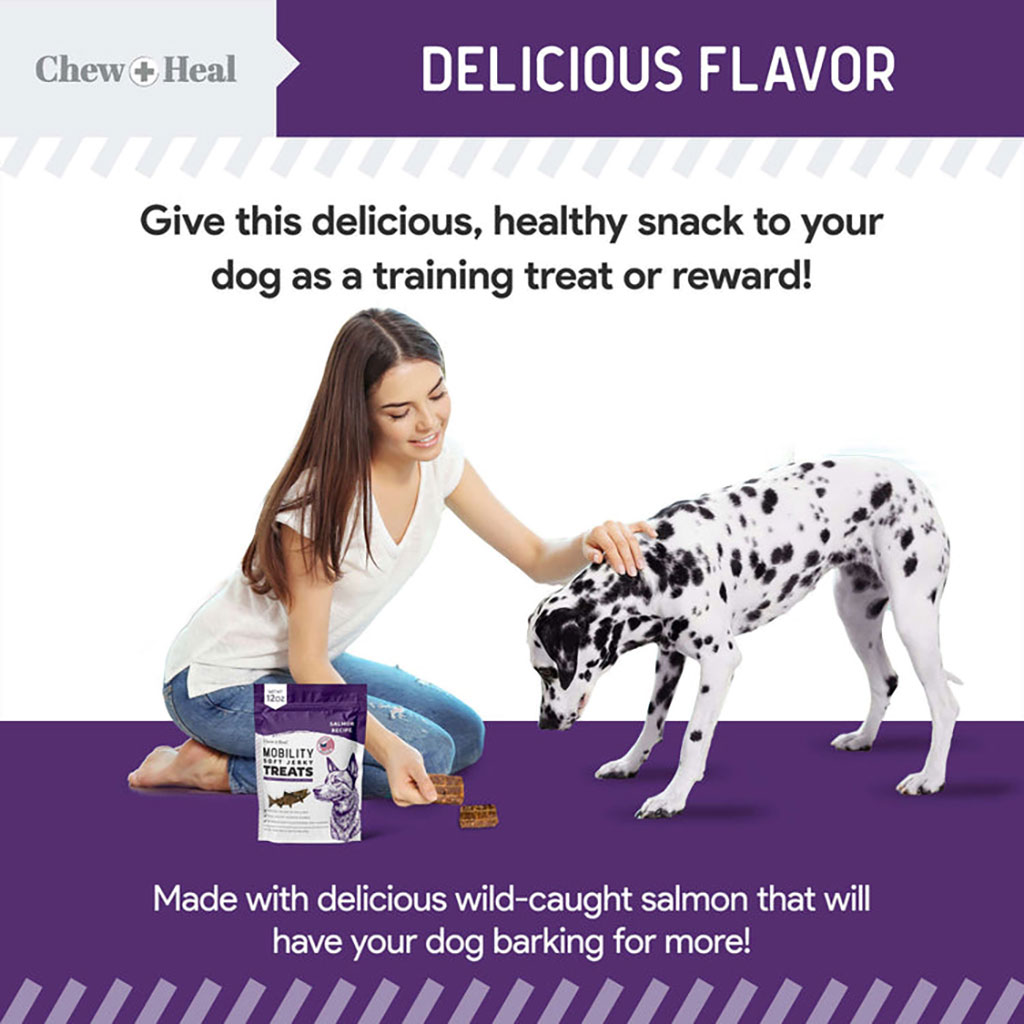 Chew + Heal Salmon Mobility Soft Jerky Treats For Dogs 340g