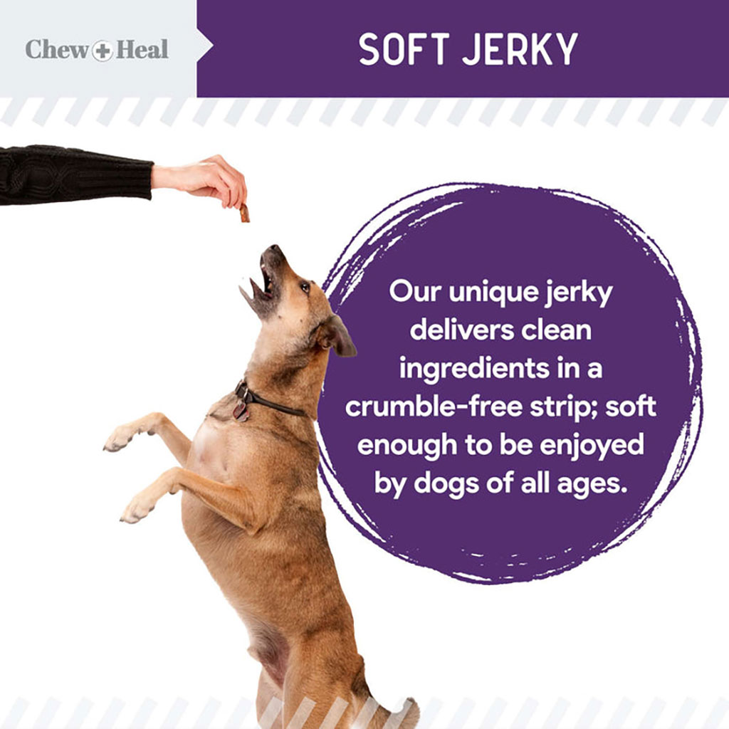 Chew + Heal Salmon Mobility Soft Jerky Treats For Dogs 340g