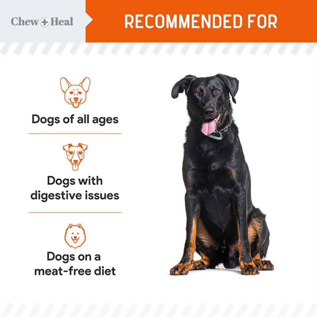 Chew + Heal Pumpkin & Probiotic Crunchy Treats For Dogs 340g