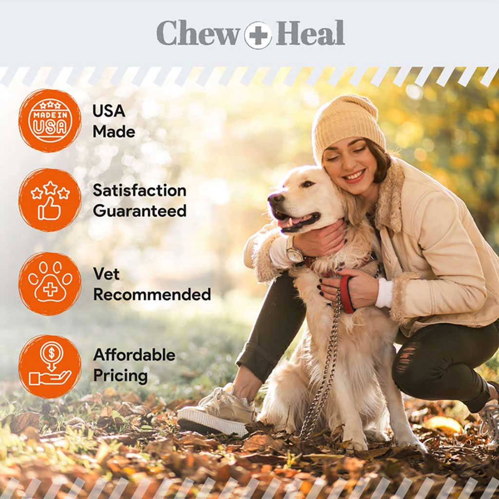 Chew + Heal Pumpkin & Probiotic Crunchy Treats For Dogs 340g