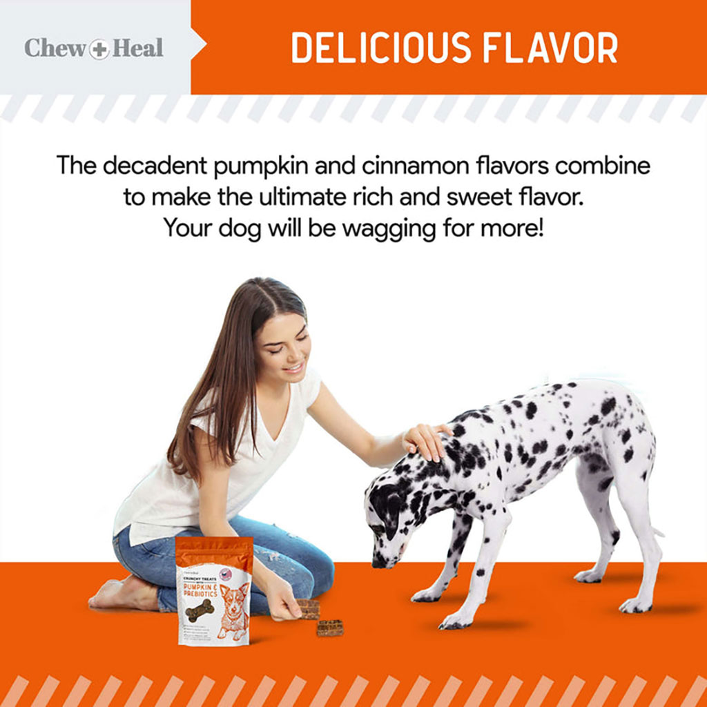 Chew + Heal Pumpkin & Probiotic Crunchy Treats For Dogs 340g