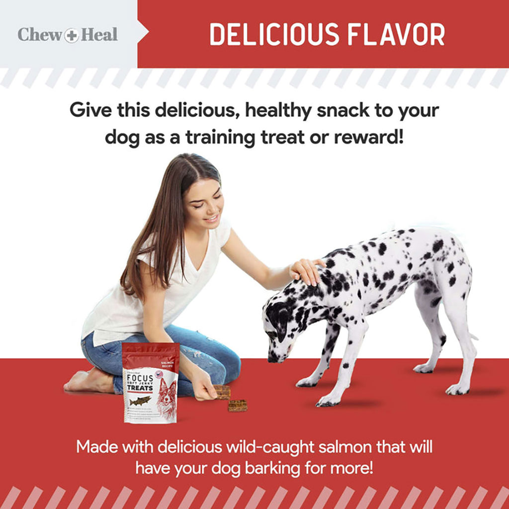 Chew + Heal Salmon Focus Soft Jerky Treats For Dogs 340g
