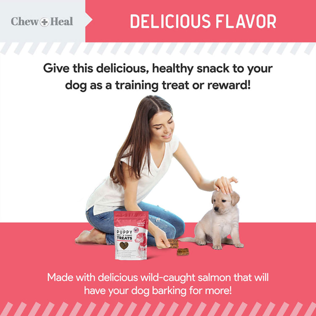 Chew + Heal Salmon Soft & Yummy Treats For Puppies 340g