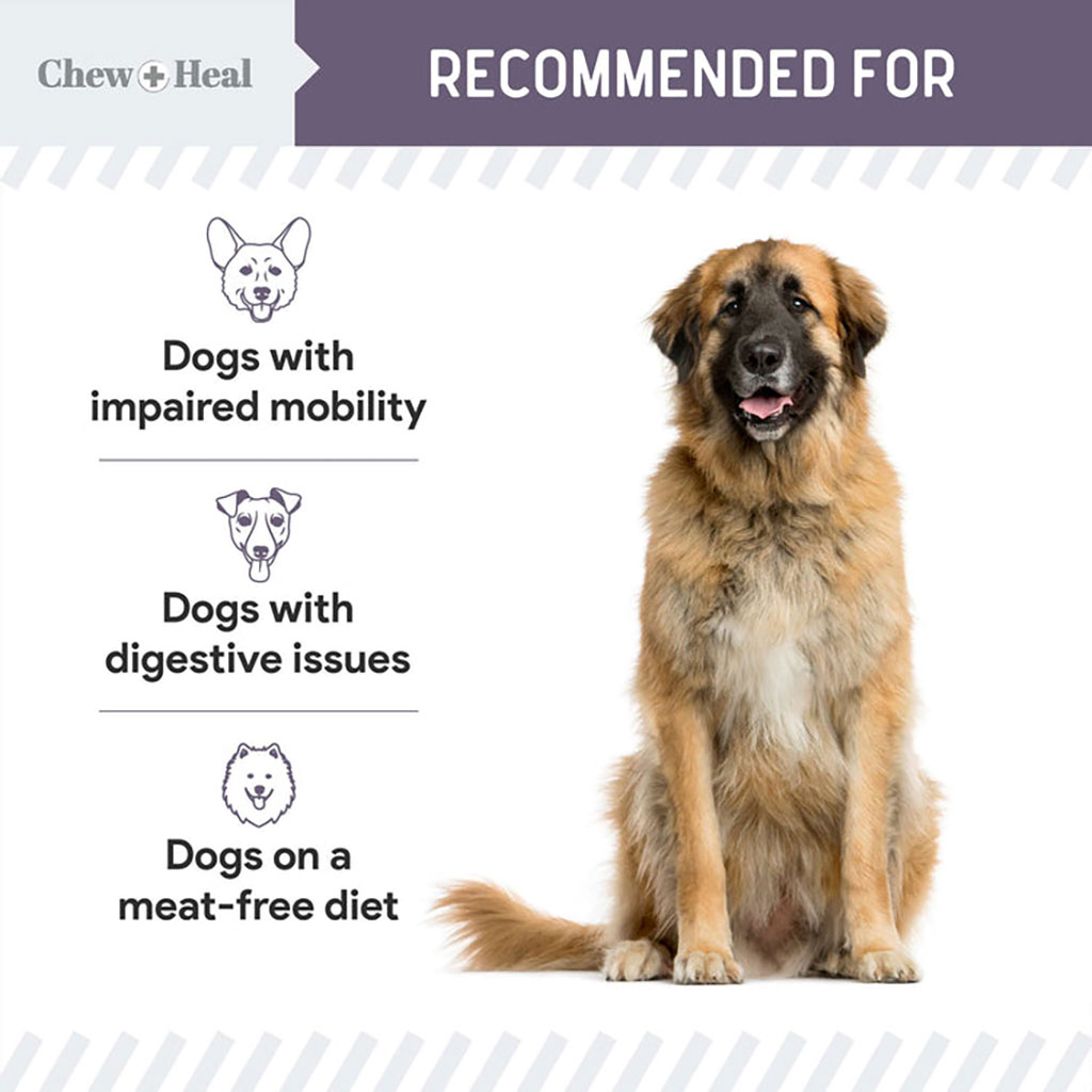 Chew + Heal Salmon Soft Jerky Treats For Senior Dogs 340g