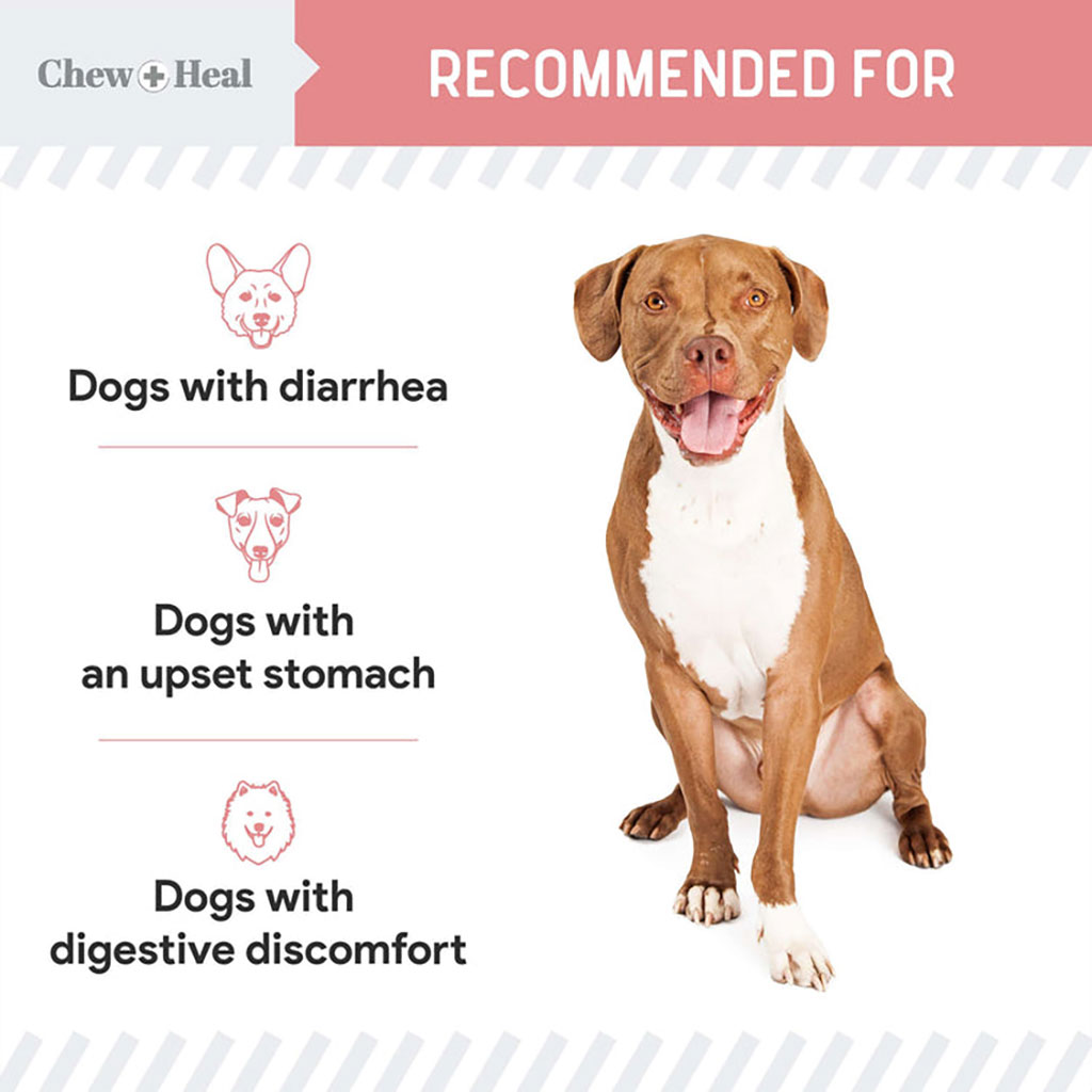 Chew + Heal Stop The Diarrhea Oral Liquid Digestive Aid For Dogs 59ml