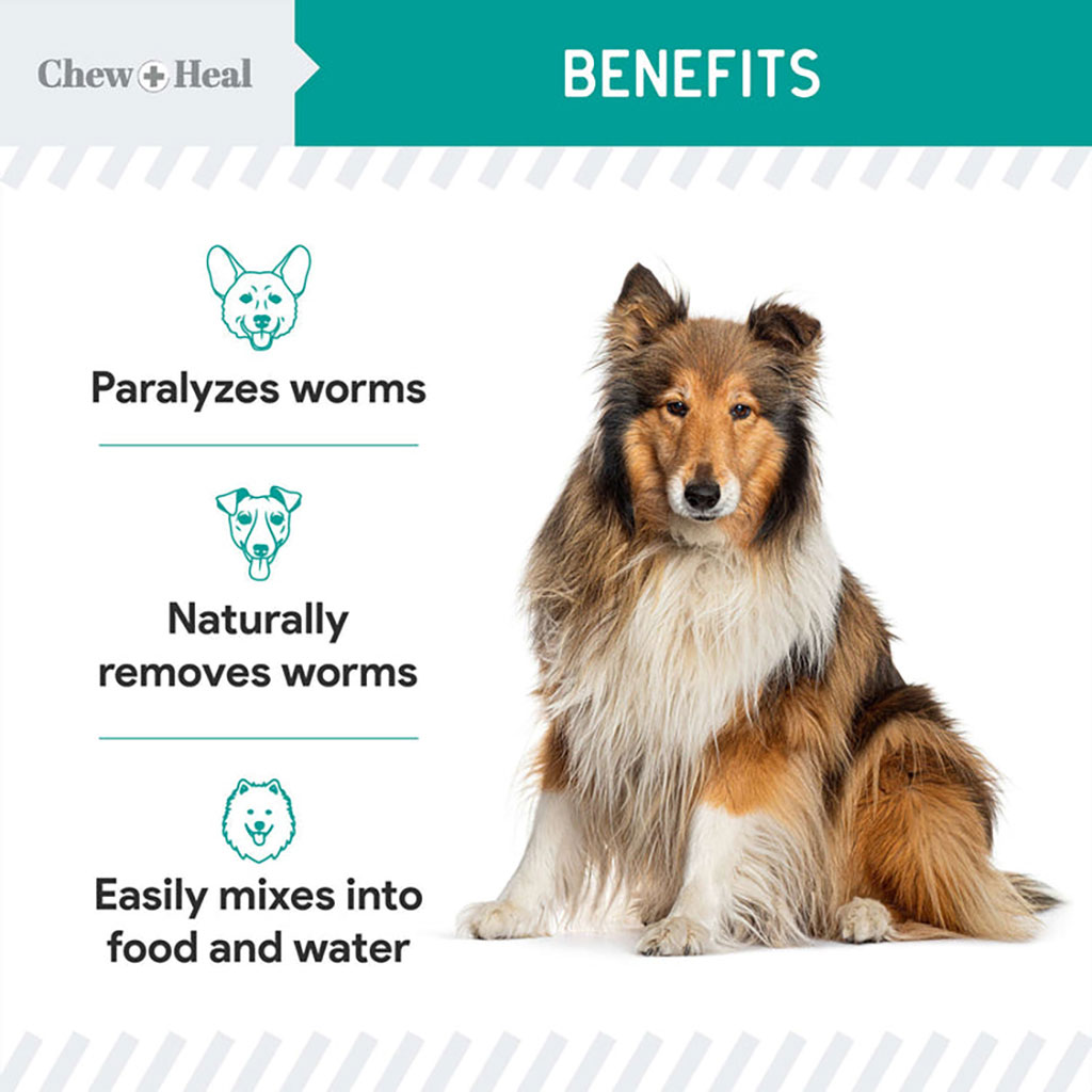 Chew + Heal Stop The Worms Oral Liquid For Puppies & Kittens 355ml