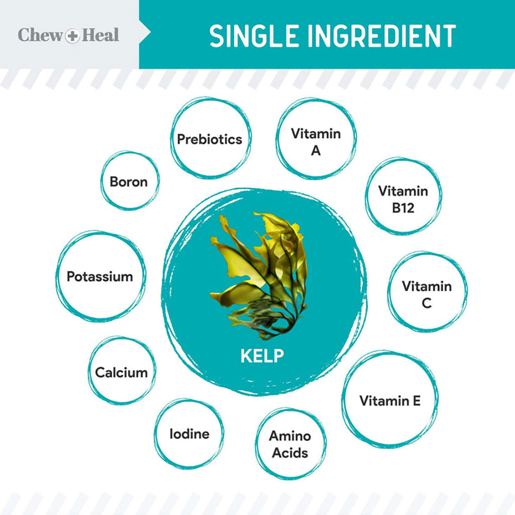 Chew + Heal Organic Kelp Marine Superfood For Dogs 454g