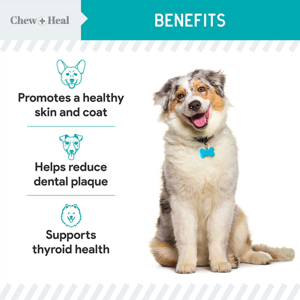 Chew + Heal Organic Kelp Marine Superfood For Dogs 454g