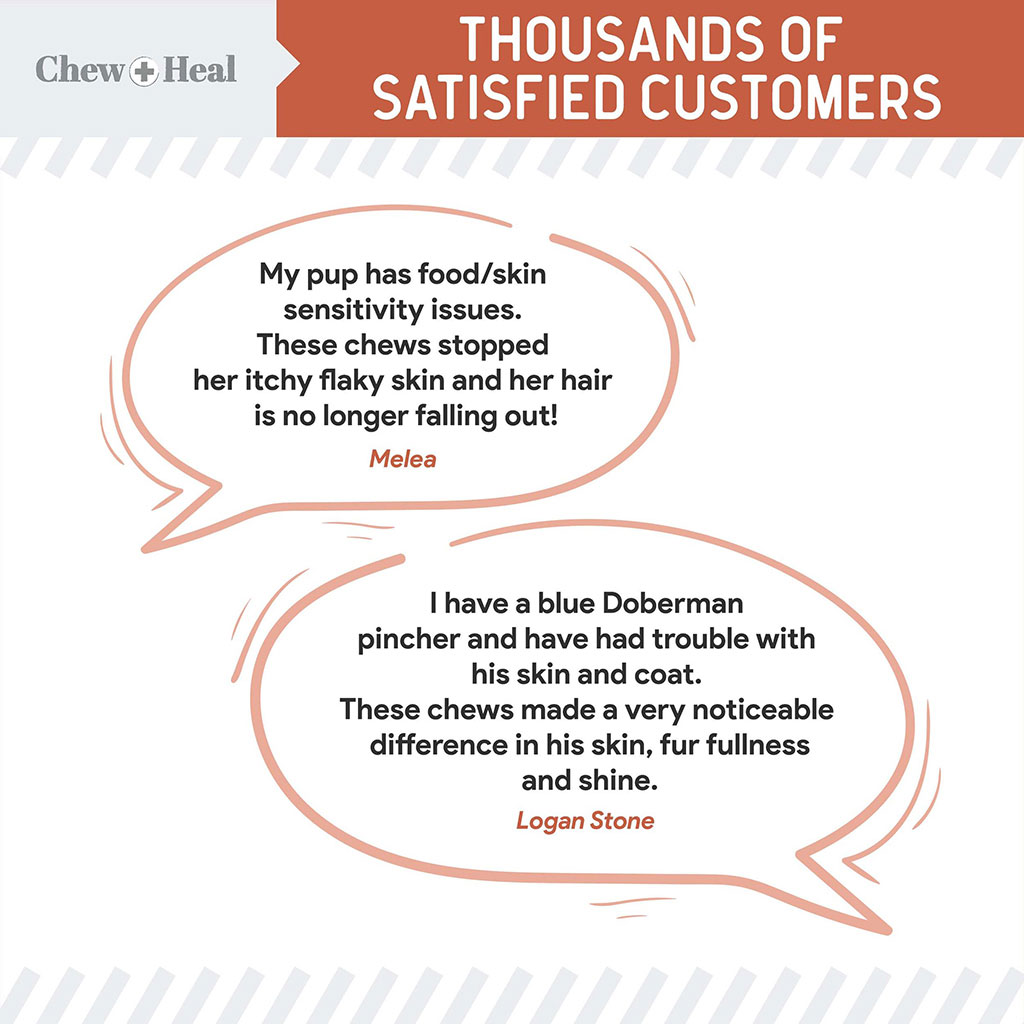 Chew + Heal Omega Skin + Coat Salmon Flavored Soft Chews For Dogs & Cats, Pack of 180's