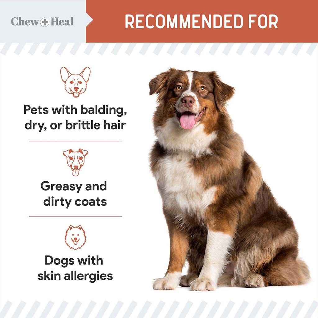Chew + Heal Omega Skin + Coat Salmon Flavored Soft Chews For Dogs & Cats, Pack of 180's