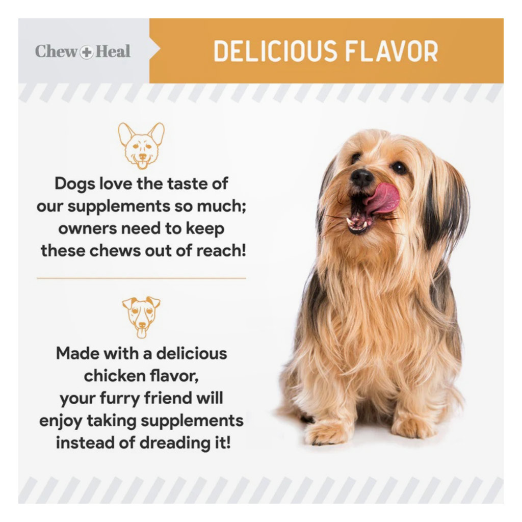 Chew + Heal Omega Skin + Coat Soft Chews For Dogs & Cats, Pack of 60's