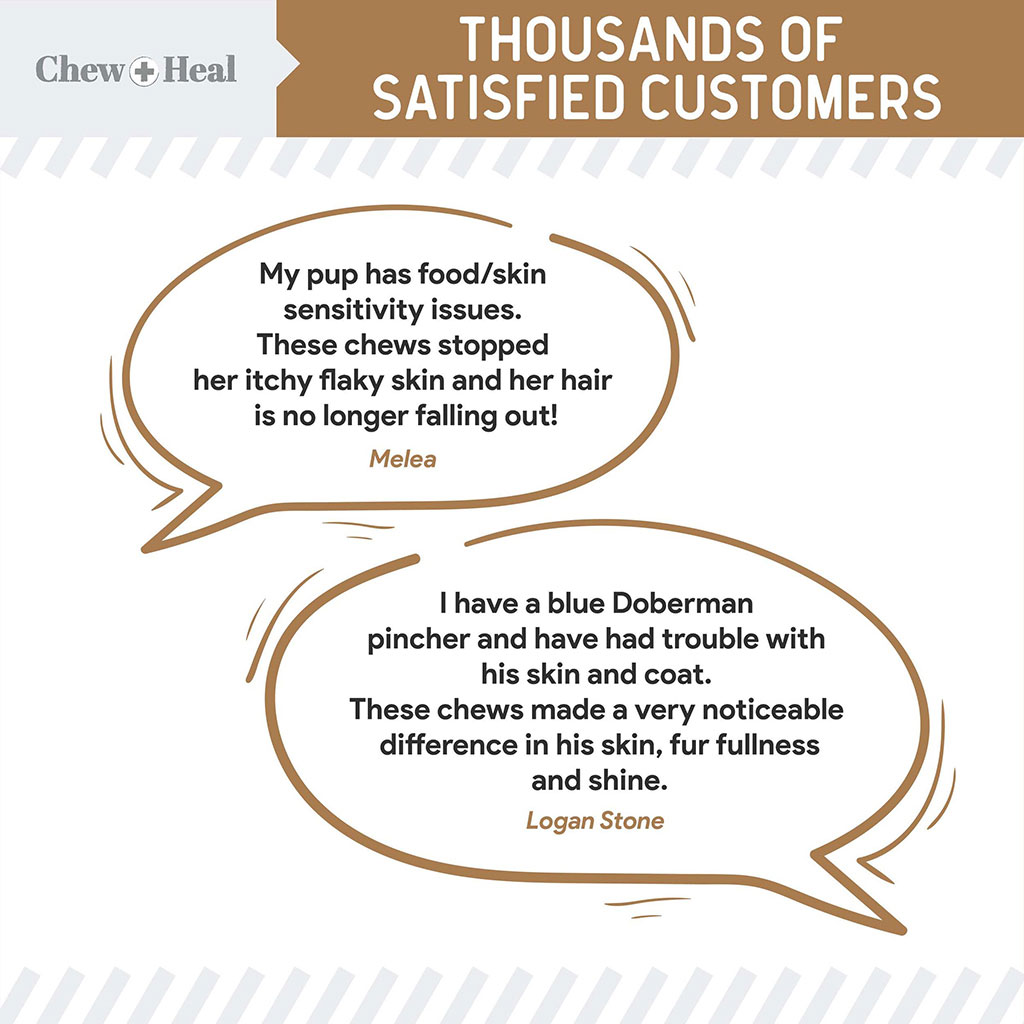 Chew + Heal Omega Skin + Coat Peanut Butter Flavored Soft Chews For Dogs & Cats, Pack of 180's