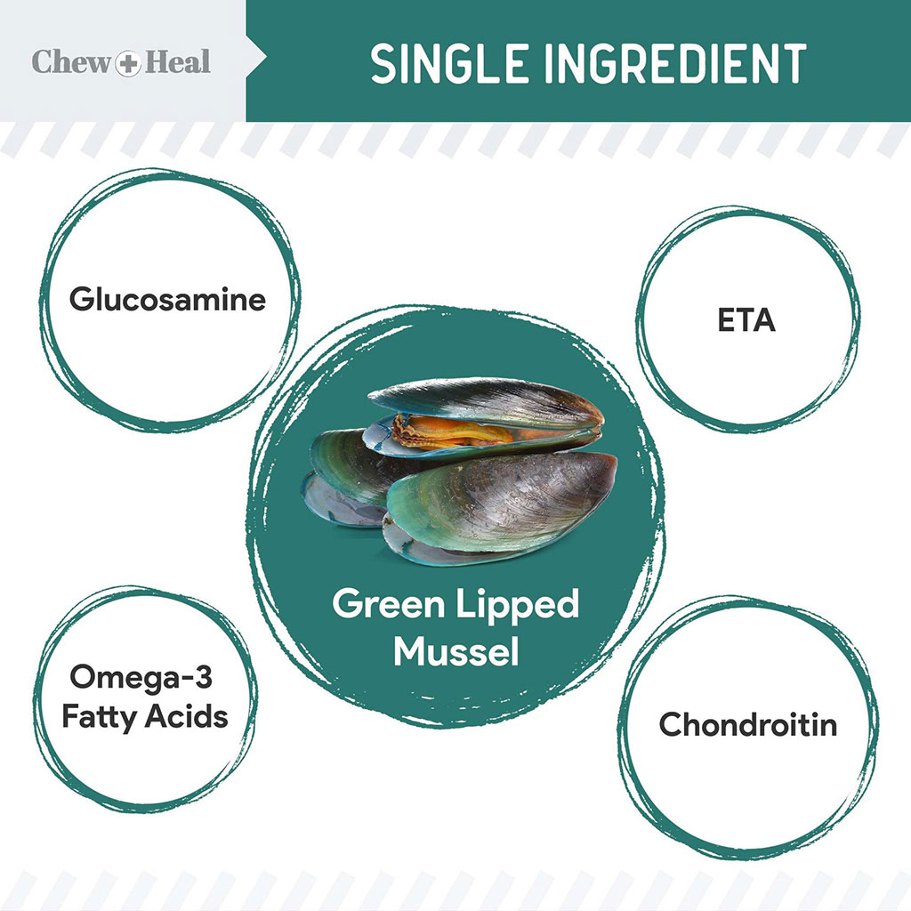 Chew + Heal Green Lipped Mussel Powder For Dogs 170g