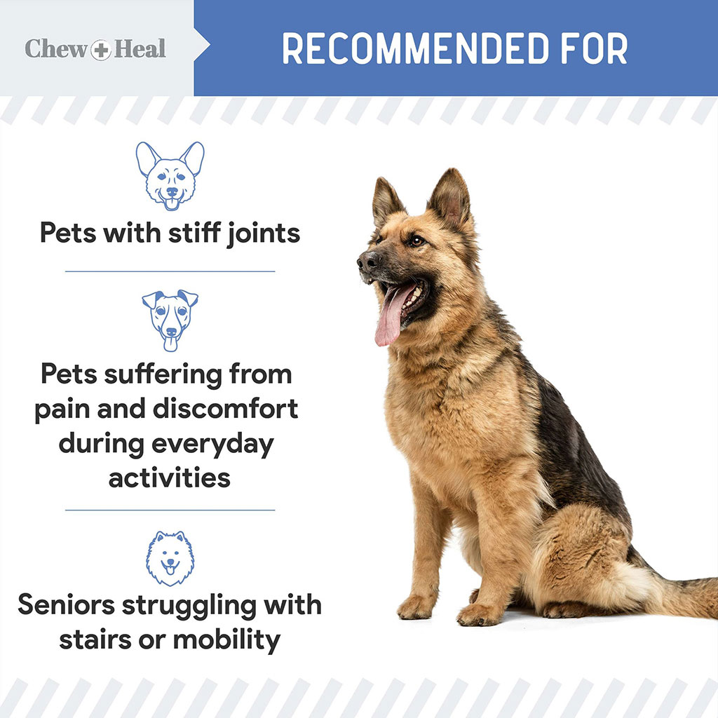 Chew + Heal Advanced Mobility Support Oral Liquid For Senior Dogs 473ml