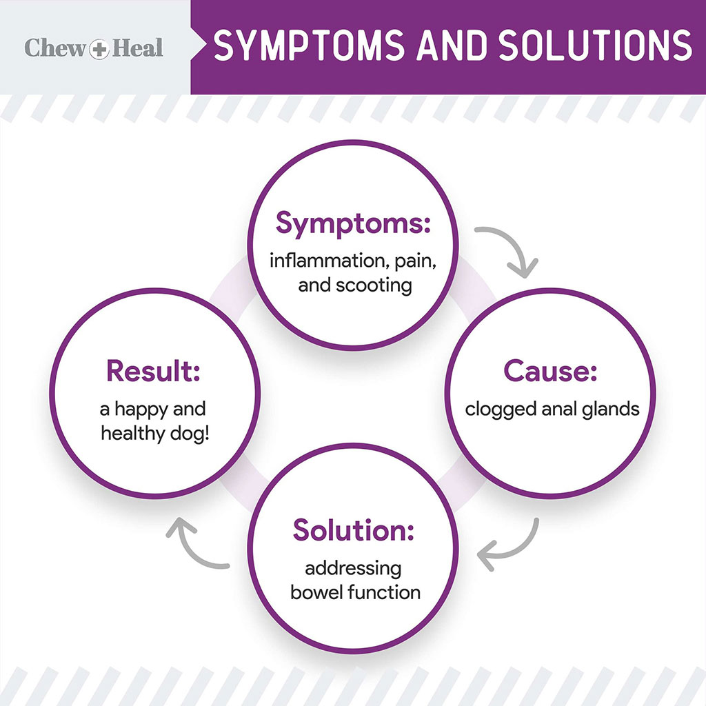 Chew + Heal Stop The Scoot Soft Chews For Dogs, Pack of 120's