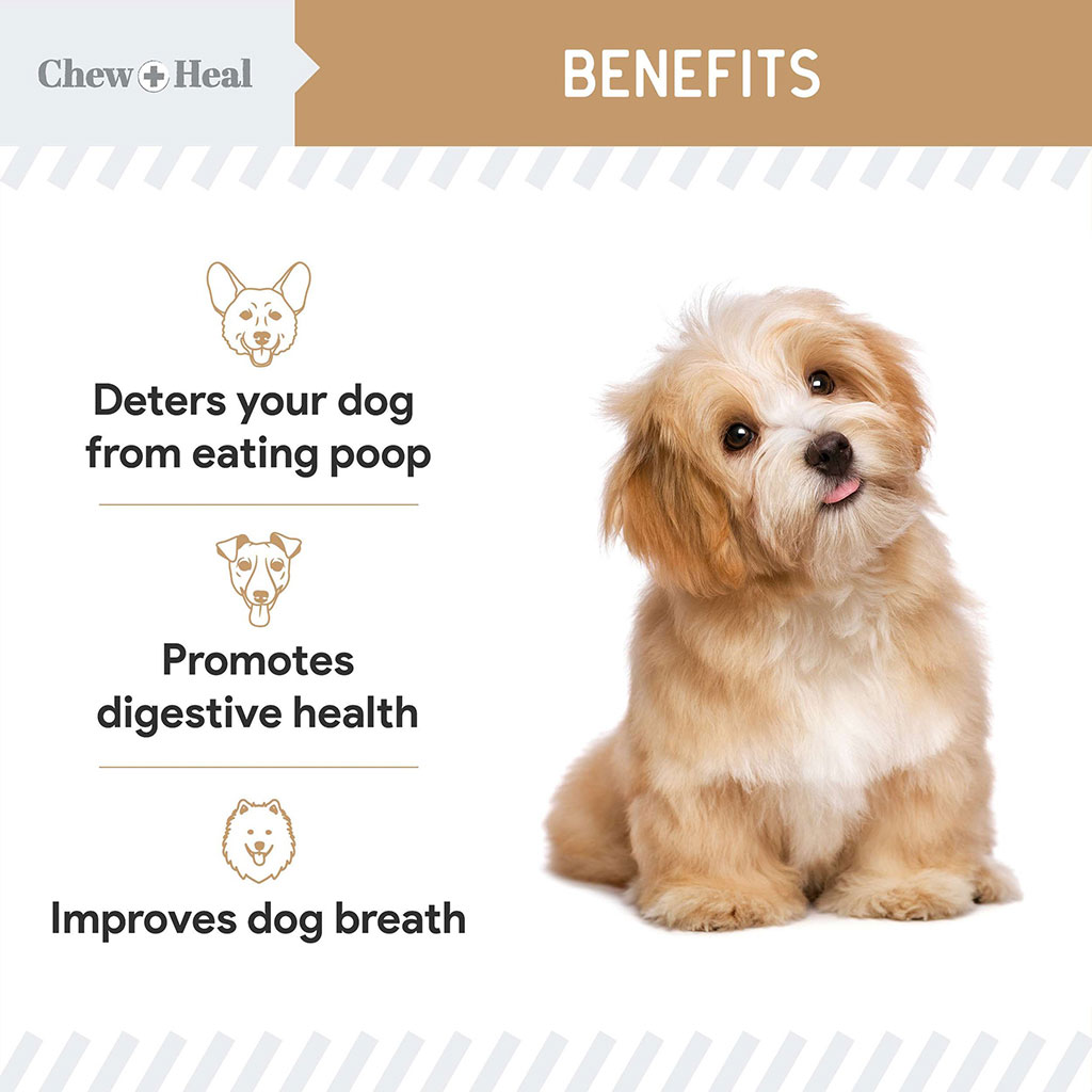 Chew + Heal Stop The Poo Peanut Butter Flavored Soft Chews For Dogs, Pack of 120's