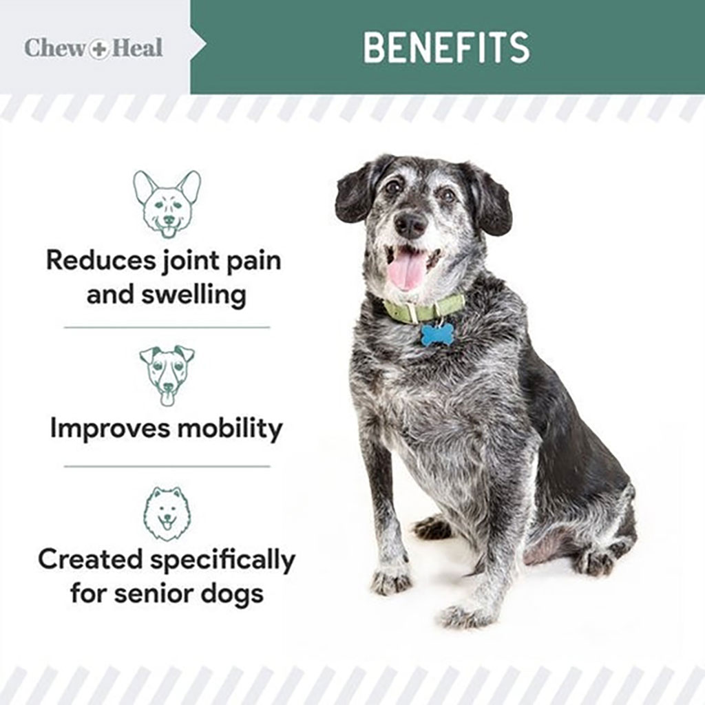 Chew + Heal Senior Hip + Joint Support Soft Chews For Dogs, Pack of 120's