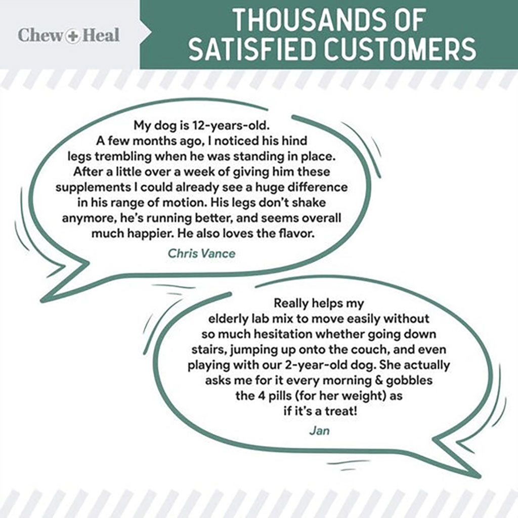 Chew + Heal Senior Hip + Joint Support Soft Chews For Dogs, Pack of 120's