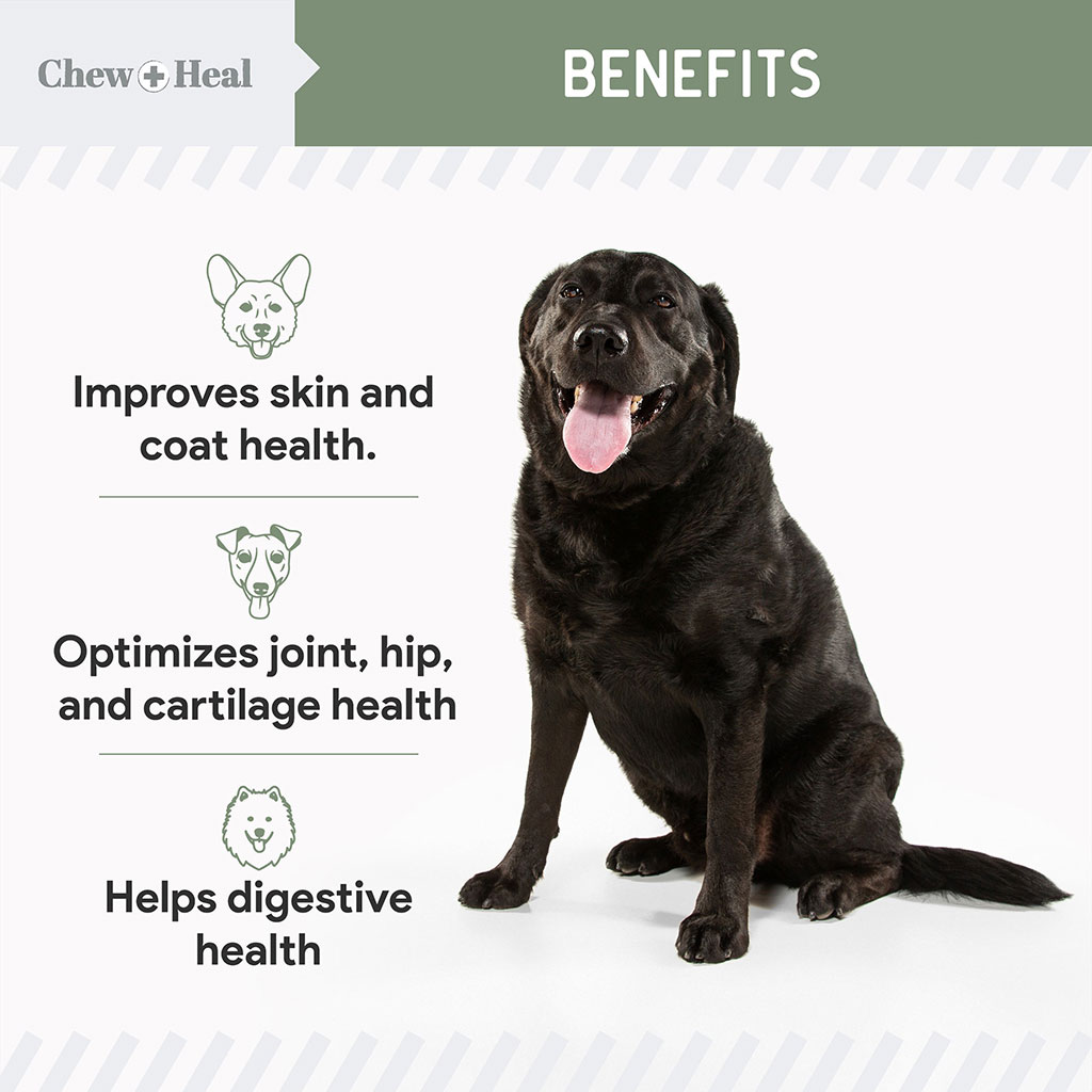 Chew + Heal 4-in-1 Support Multivitamin Soft Chews For Dogs, Pack of 120's