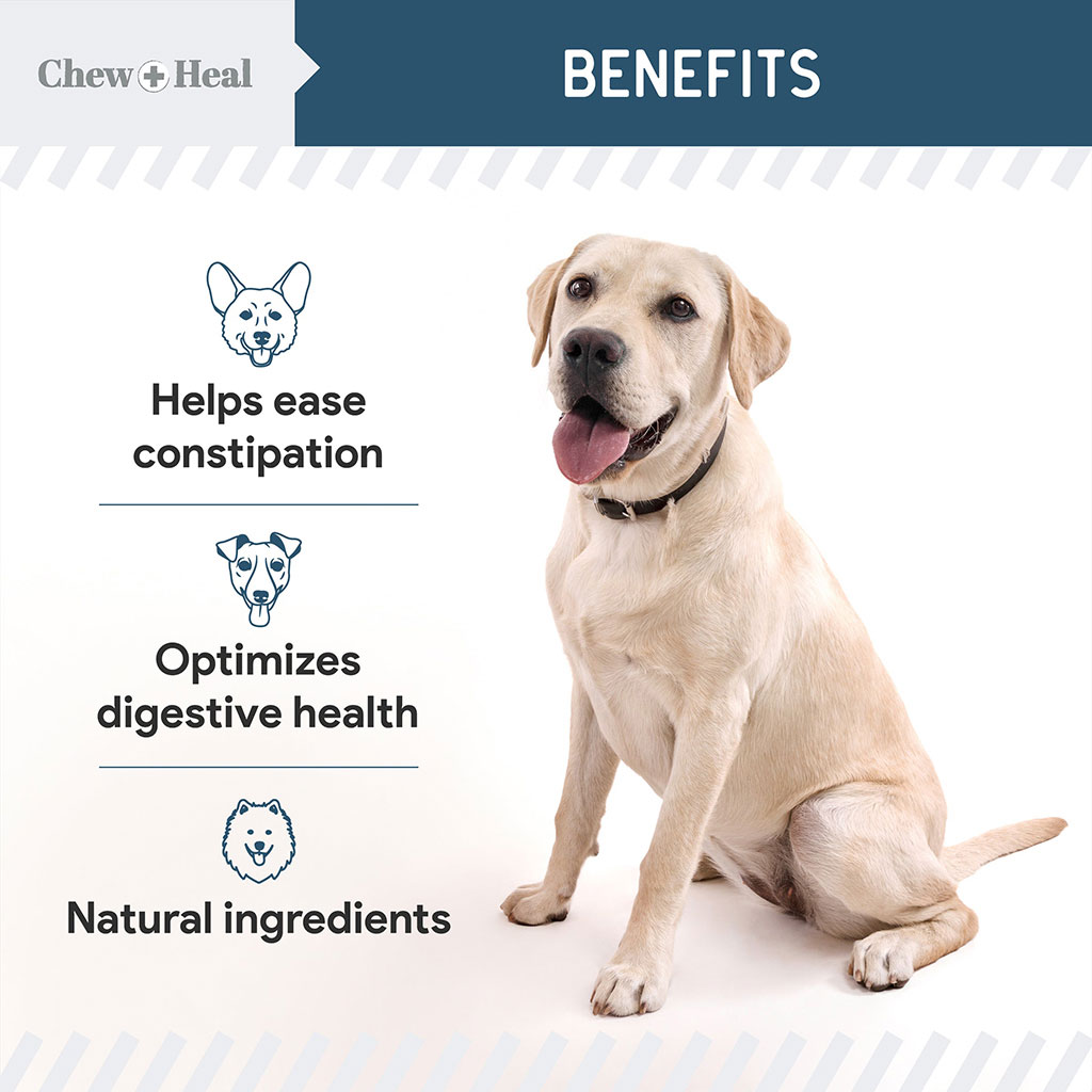 Chew + Heal Digestive Enzymes Soft Chews For Dogs, Pack of 120's