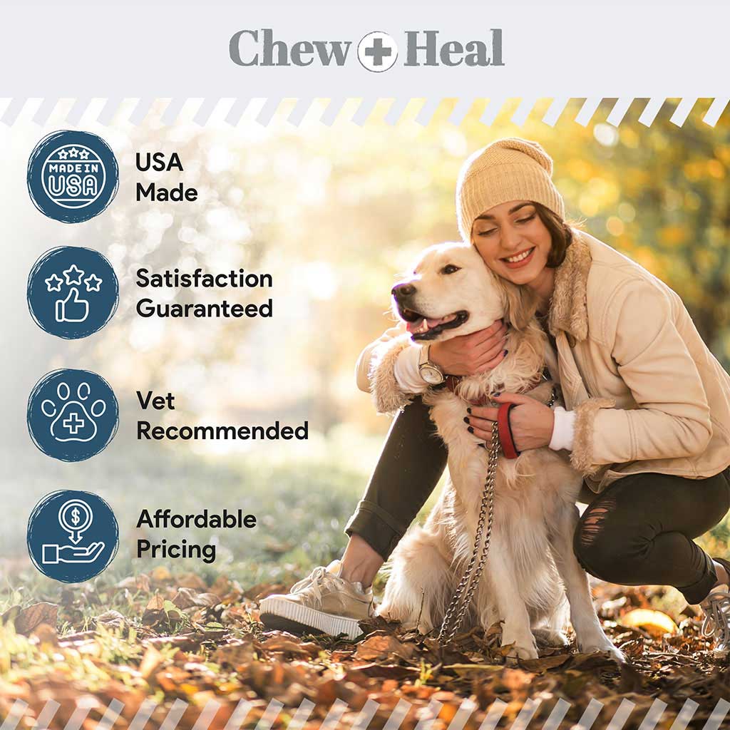 Chew + Heal Digestive Enzymes Soft Chews For Dogs, Pack of 120's