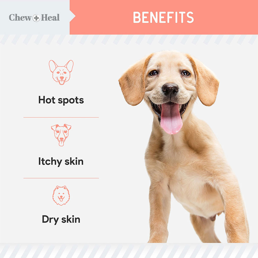 Chew + Heal Natural Hot Spot & Itching Relief Topical Liquid For Dogs 60ml
