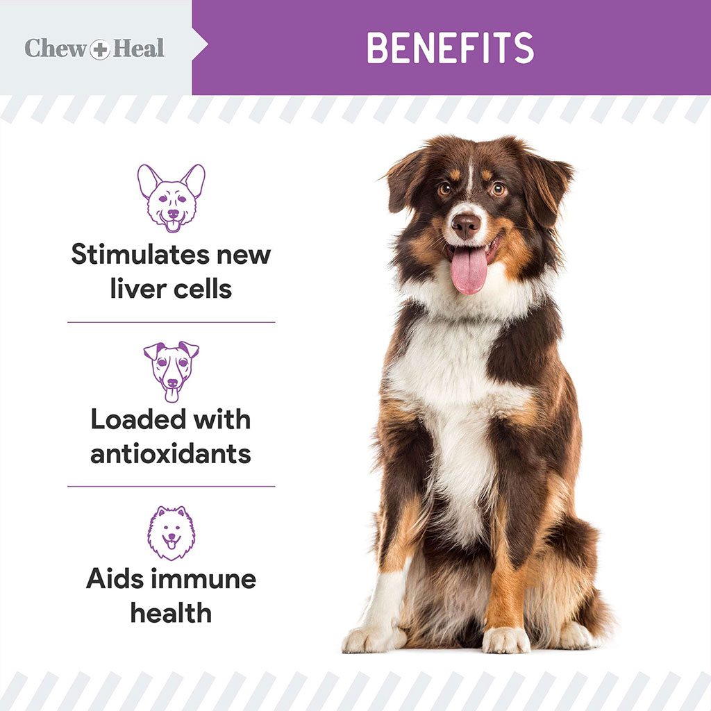 Chew + Heal Milk Thistle Tincture Oral Supplement For Dogs 60ml