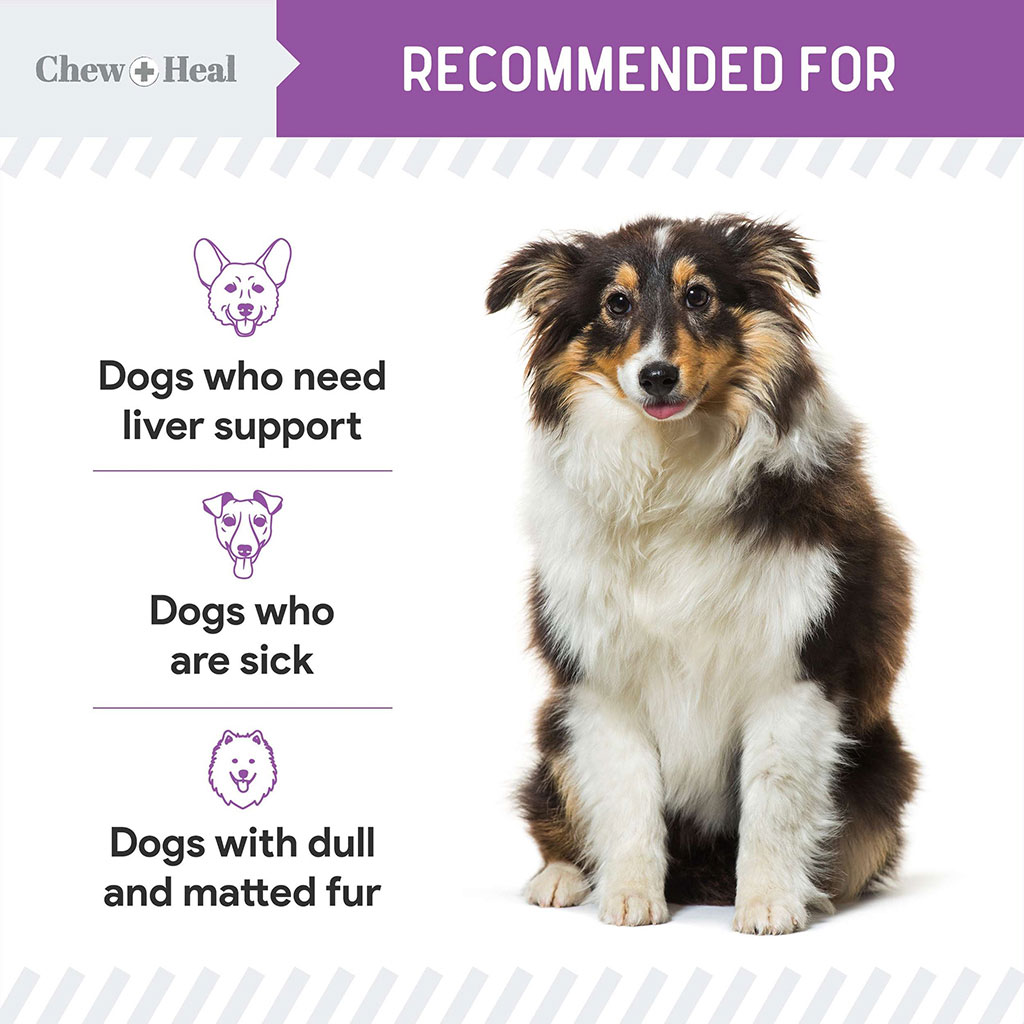 Chew + Heal Milk Thistle Tincture Oral Supplement For Dogs 60ml