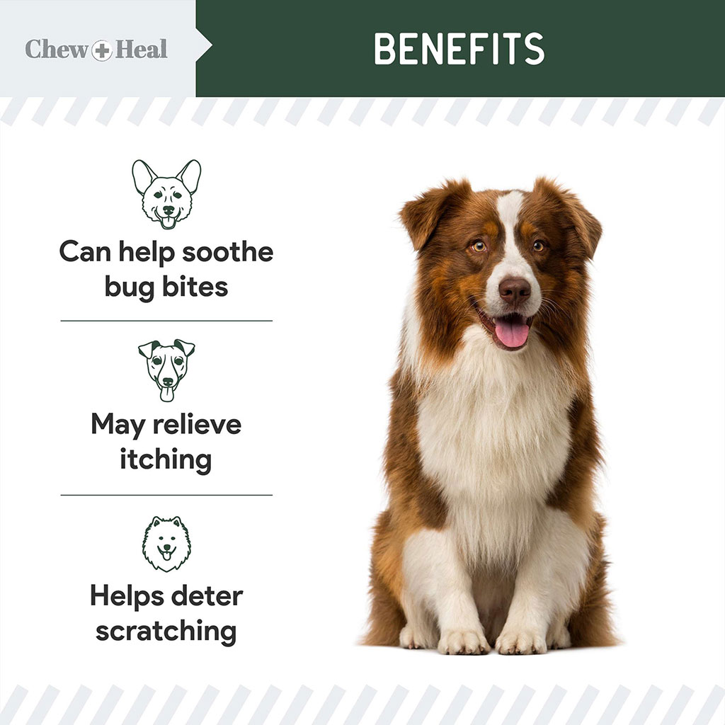 Chew + Heal Hydrocortisone Topical Lotion For Dogs 237ml