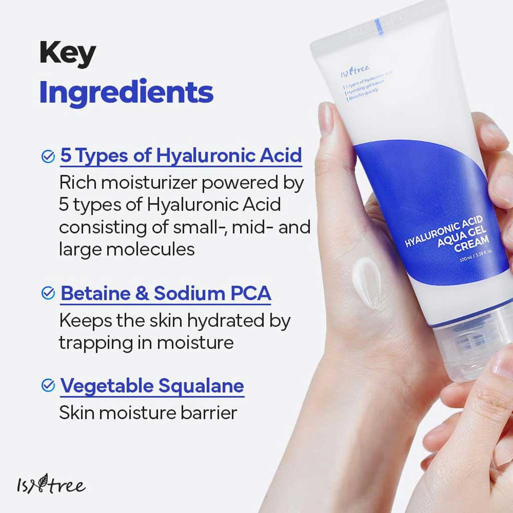Isntree Hyaluronic Acid Moist Cream 100ml