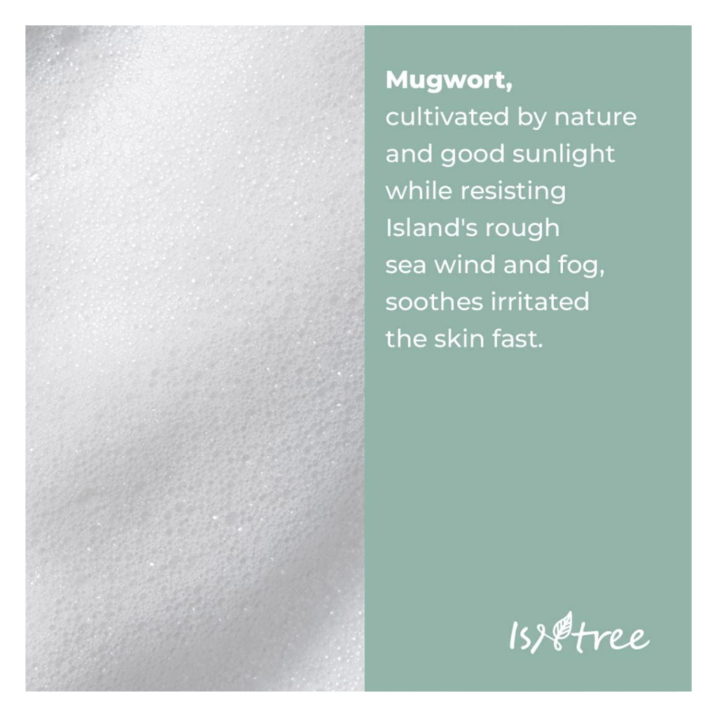 Isntree Mugwort Calming Powder Wash 25g, Pack of 25's