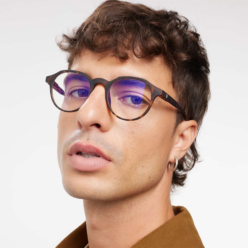 Barner Unisex Reading Glasses, Phantos Shape, Havana - +2.50 Power