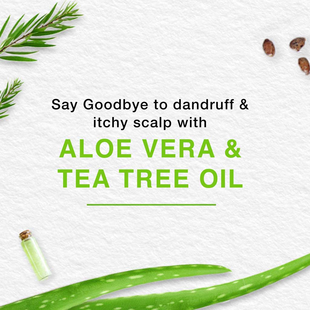 Himalaya Anti-Dandruff Hair Cream 140ml, Pack of 2